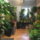 Interior of City Planter with a large variety of indoor and outdoor plants.